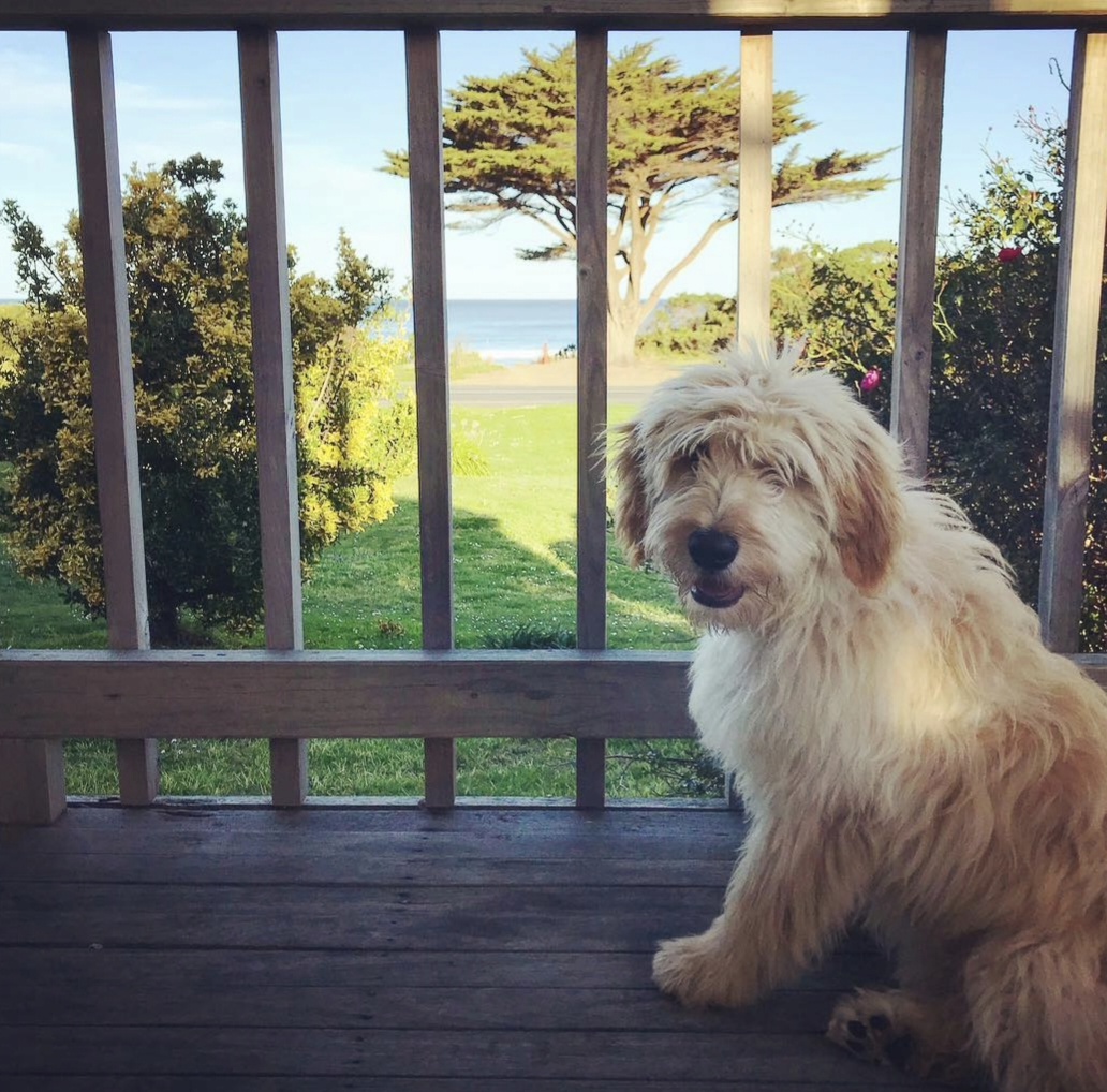 George sitting on the deck overlooking the beach
